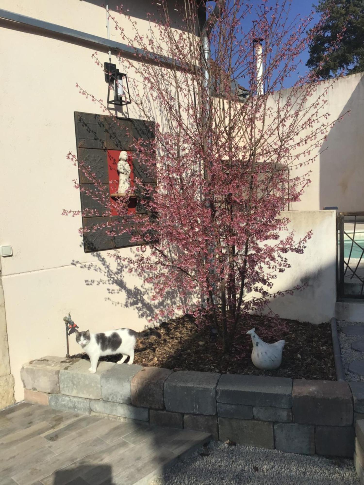 Ma Maison Beaune  Exteriér fotografie
